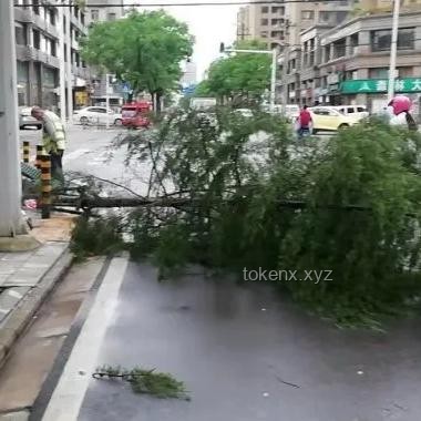 武汉暴雨全解析：来势汹汹，如何应对？